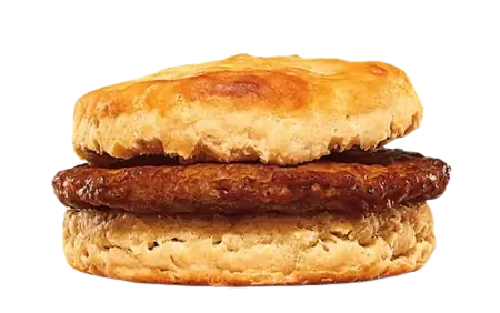 A simple sausage patty inside a plain breakfast biscuit.