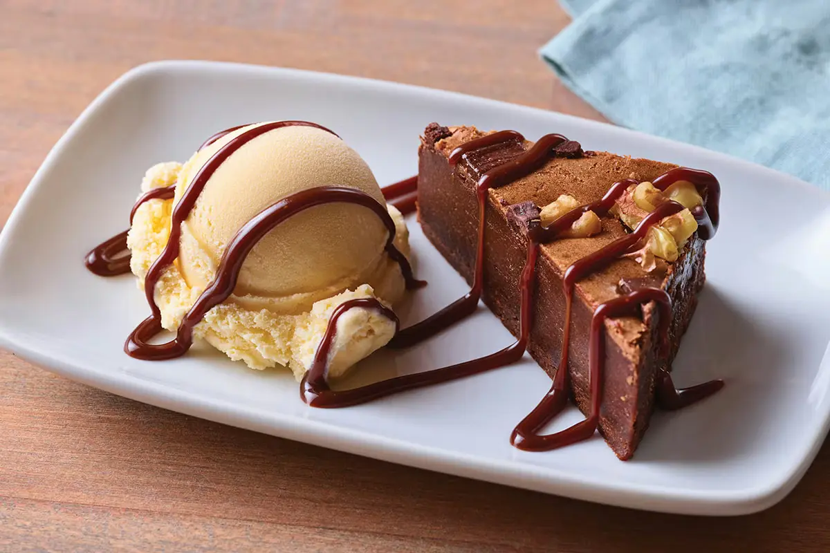 A slice of chocolate cake and a scoop of vanilla ice cream drizzled with chocolate syrup.